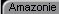 ongletamazonnie.jpg (1139 octets)